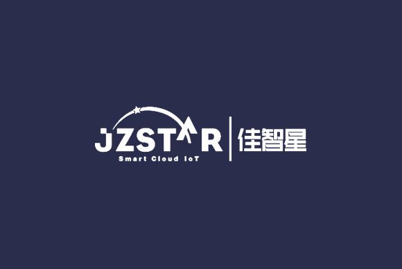 佳智星科技有限公司網(wǎng)站設(shè)計(jì) 