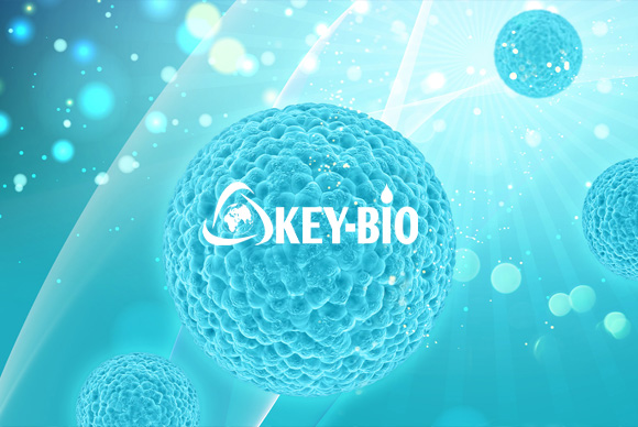 科躍中楷生物科技網(wǎng)站設計