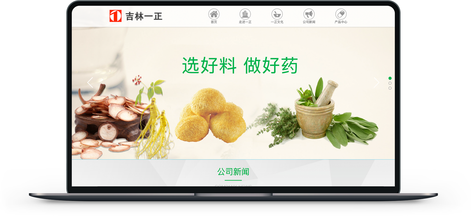 藥業(yè)集團網(wǎng)站制作