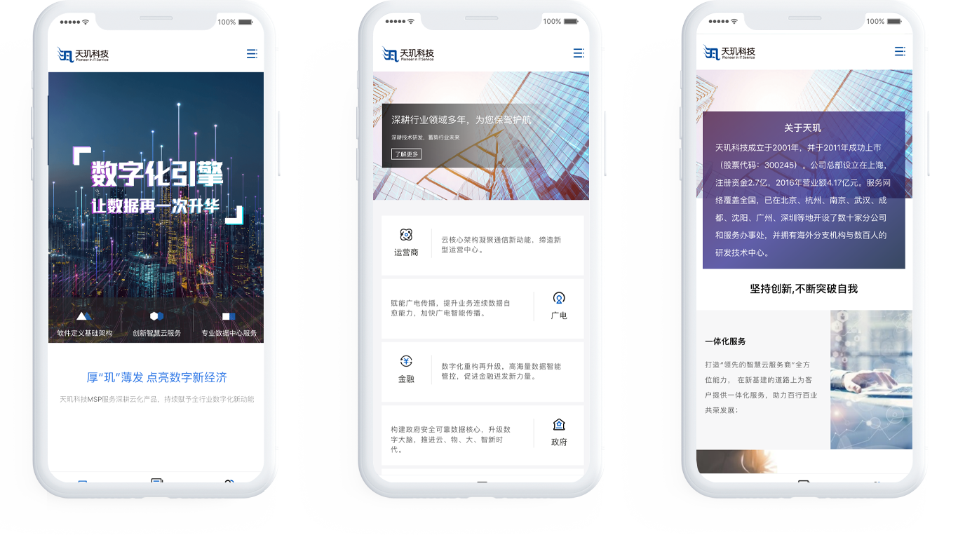 科技股份公司網(wǎng)站制作